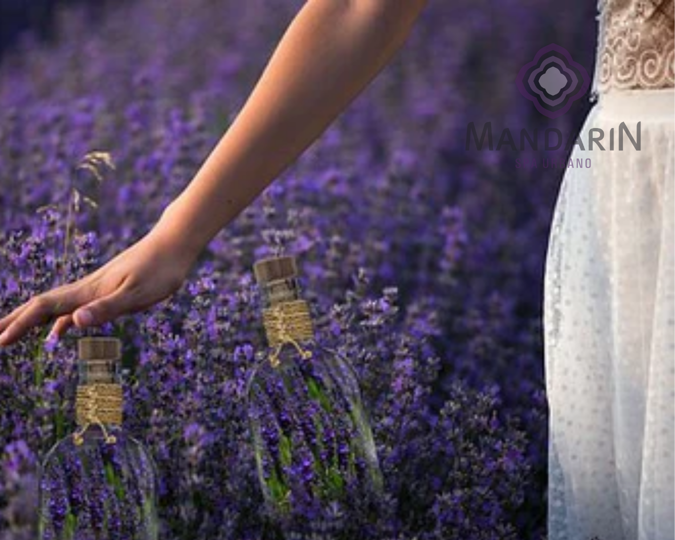 Matrix Aromática (1hora)